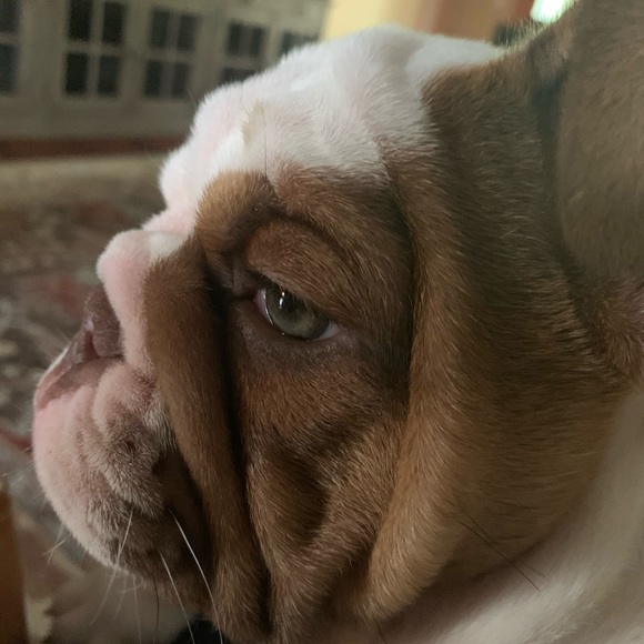 Our Baby Girl Miss Bella B - Picture 7 of 16